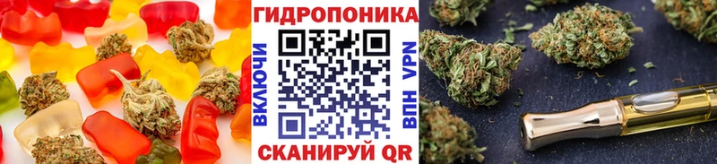 купить наркотик  omg ссылки  Cannafood конопля  Ленинградская 