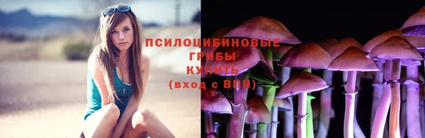 хмурый Ступино
