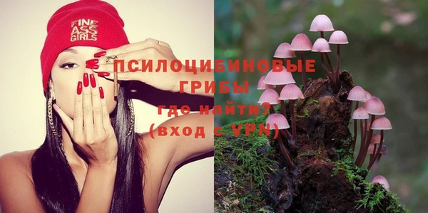 прущий лед Струнино