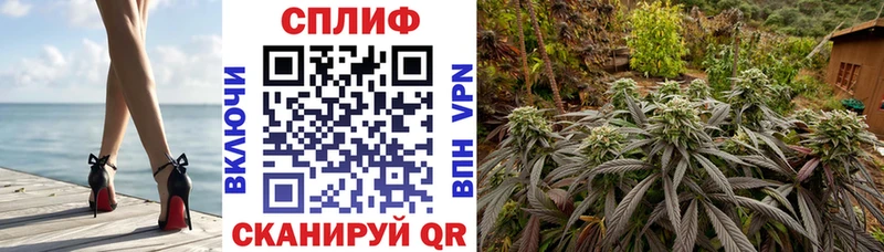 Канабис план  цена наркотик  darknet формула  Ленинградская 